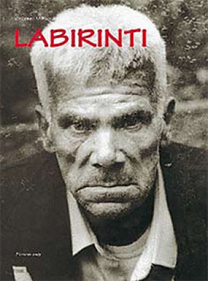 Vincenzo Mirisola: Labirinti